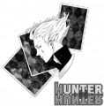 Hunter x Hunter (1-95 серии)